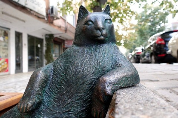 49you美图趣事 - 一代名猫Tombili终于拥有了自己的雕像
