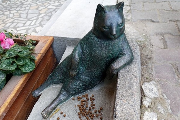 49you美图趣事 - 一代名猫Tombili终于拥有了自己的雕像